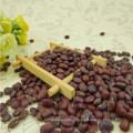 HPS Dark Red cowpeas (GF1)